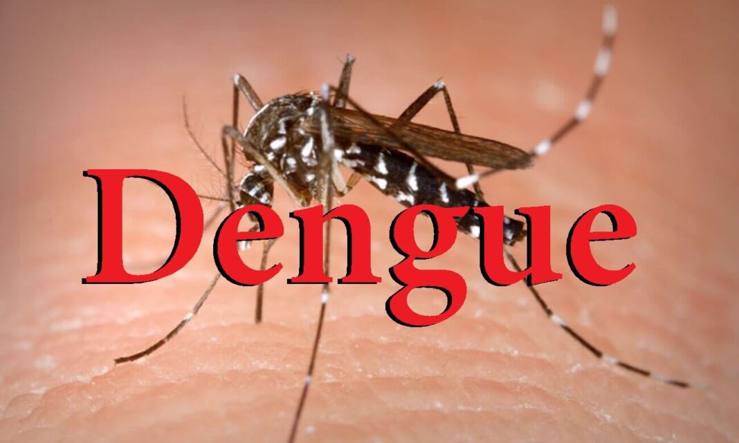 Supera Jalisco los 5 mil casos de dengue