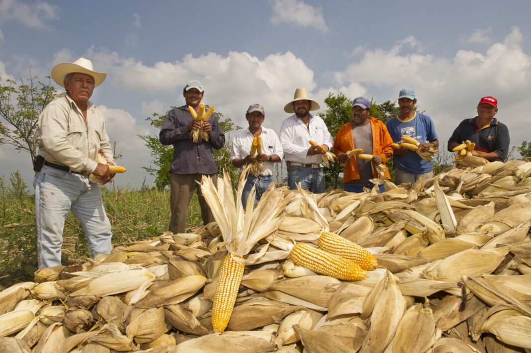 Apoyará Citibanamex proyectos productivos en zonas rurales