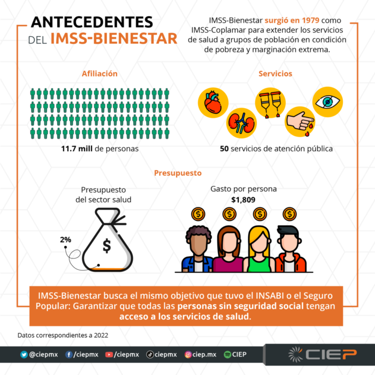 IMSS-Bienestar no logrará a cubrir funciones del extinto INSABI