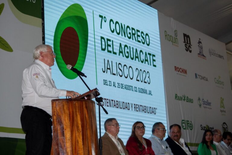 Define Sader polígonos de potencial productivo para cultivar aguacate, sin comprometer Áreas Protegidas