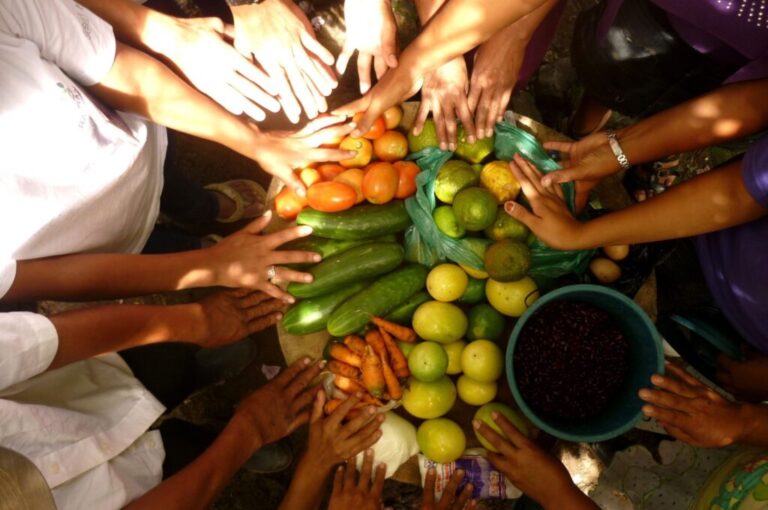 ¿Cuál es el Plan de respuesta y acción anticipatoria de FAO para enfrentar al Niño en AL?