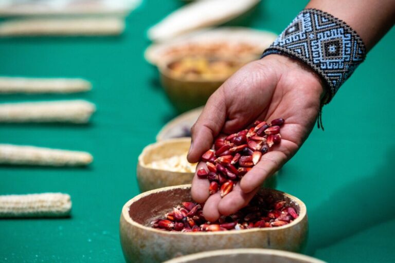 Sugieren consumir más frutas y verdura y eliminar los procesados para impulsar la agrobiodiversidad