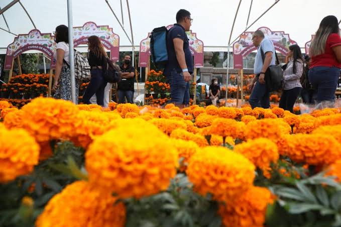 Día de Muertos 2023: Festival de cempasúchil en Paseo de la Reforma ¿Cuándo y dónde?