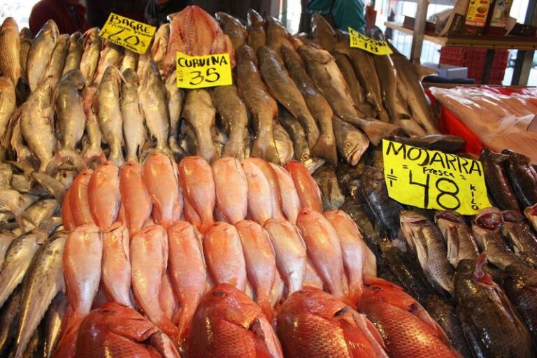 Lanzan campaña “Sabores de Cuaresma” / Por Alicia Valverde