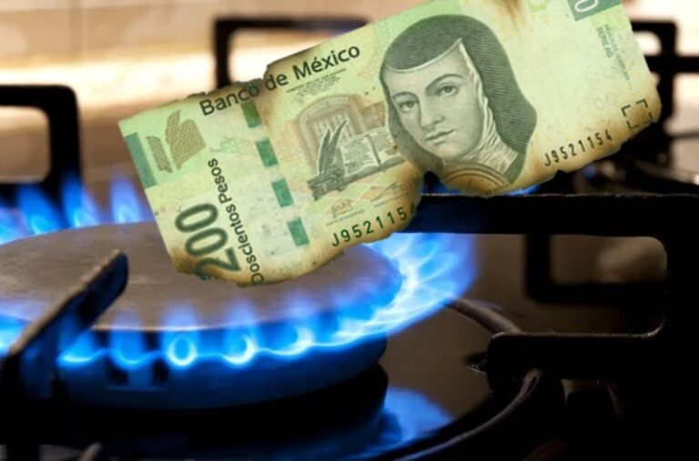 Compara precios: Diferencias de 30% en costos de estufas de igual modelo / Por Alejandro Durán