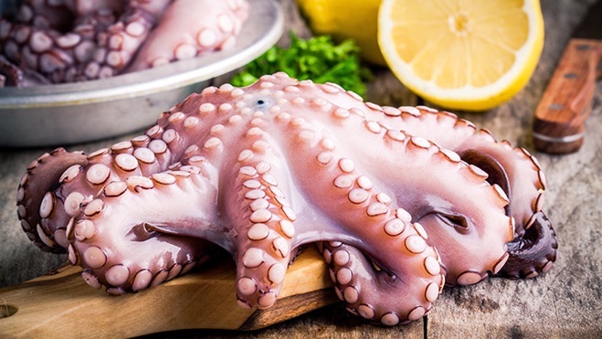 Compara precios: Kilo de pulpo con diferencias de 138% / Por Alejandro Durán