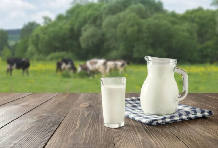 La leche, quinta parte del valor de la producción pecuaria nacional 
