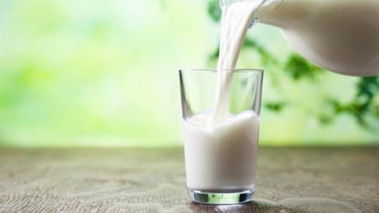 Invierten 140 mdp en nueva planta pasteurizadora en Campeche / Por Alicia Valverde