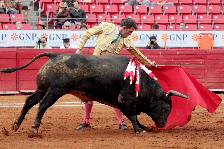 Alertan que recientes reformas podrían extinguir la tauromaquia en México