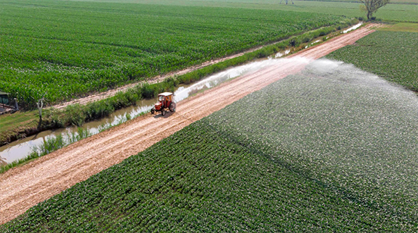 Indispensable atender juntas seguridad hídrica y alimentaria en las políticas públicas: expertos