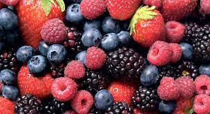 Inicia diálogo con el sector de berries sobre el mecanismo de certificación laboral para la agroexportación / Por Alicia Valverde