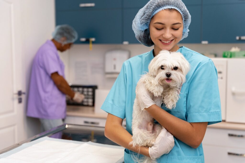 El 85% de los mexicanos muestra empatía por los animales