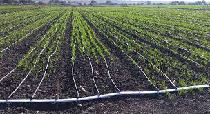 Llaman a productores a regularizar concesiones de agua / Por Alicia Valverde