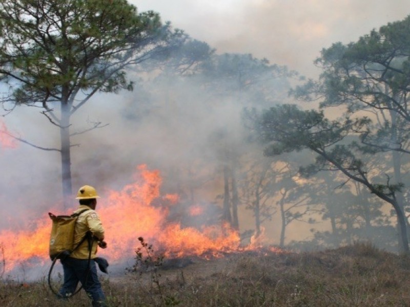 Afinan en Chiapas estrategia para prevenir y combatir incendios forestales