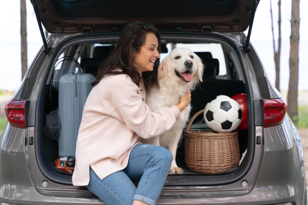 Viajar con mascotas crecerá rumbo al evento de fútbol más importante del mundo, pero 42% teme por su bienestar