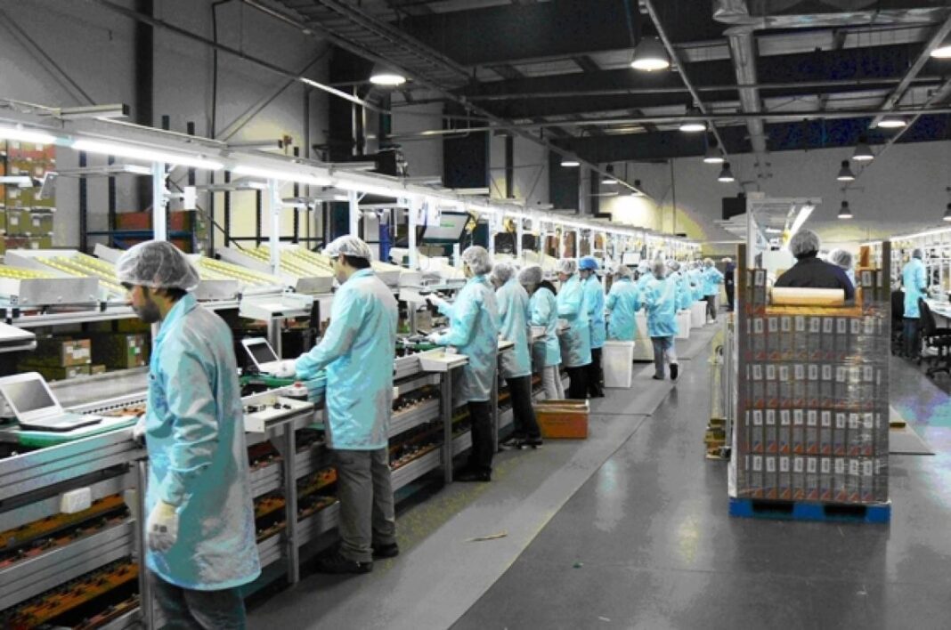 Nuevo León, el estado con la mayor generación de empleo en la industria manufacturera de México