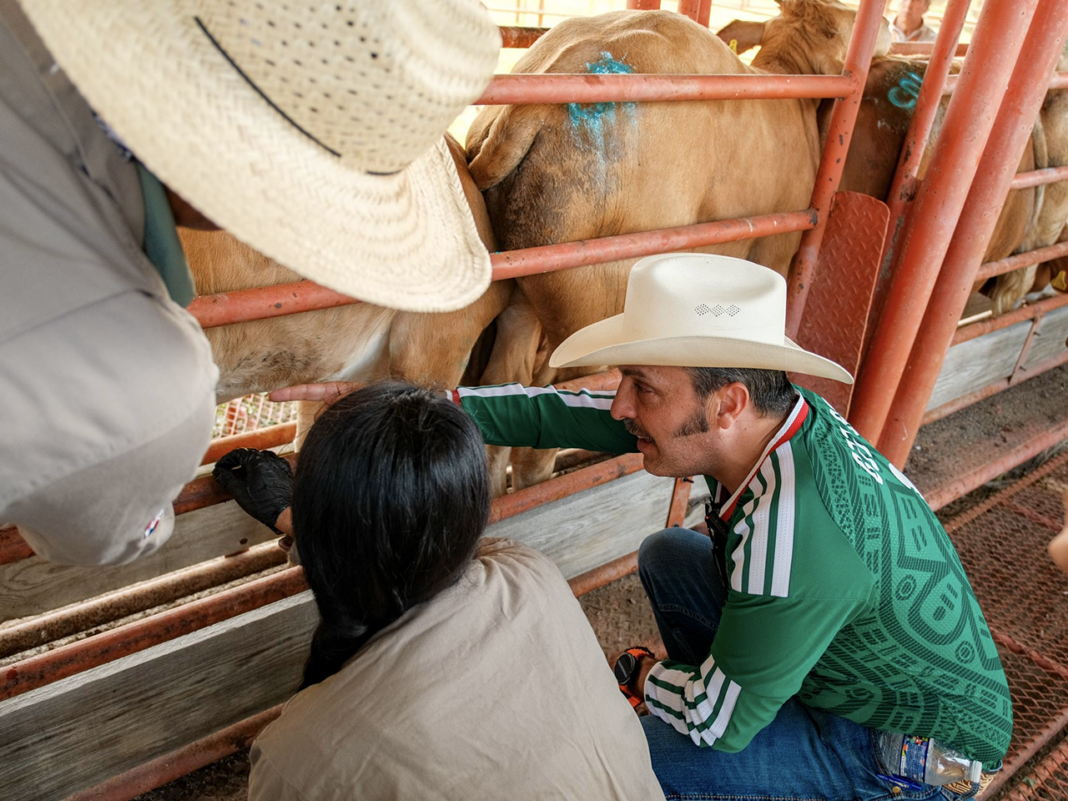 Fortalece Nuevo León blindaje contra gusano barrenador en fronteras con otros estados