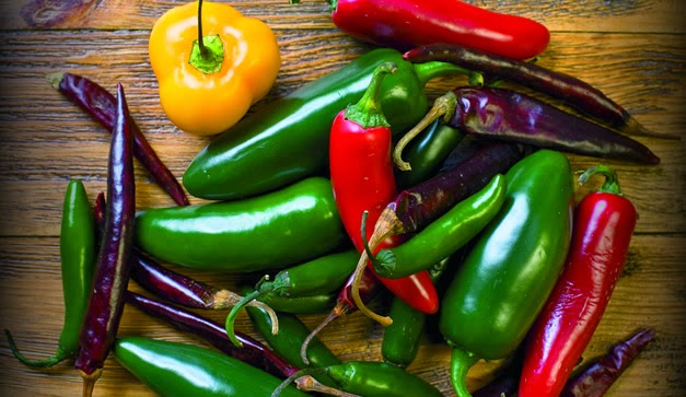Invierte Chihuahua 39 mdp para combatir plaga en producción de chile