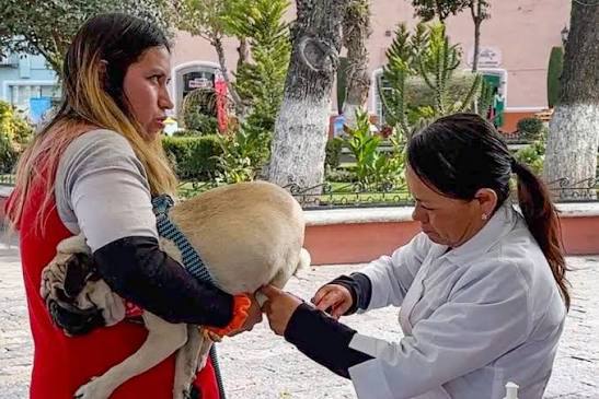 Realiza NL jornada de vacunación gratuita en el Centro Estatal de Atención Animal