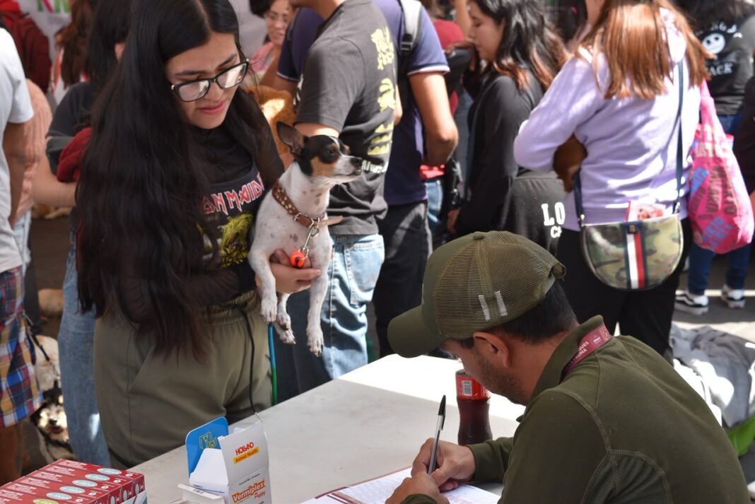 Brindan en EdoMéx más de 19 mil servicios veterinarios gratuitos
