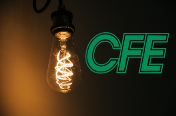 CFE: ¿Escuela de ladrones?