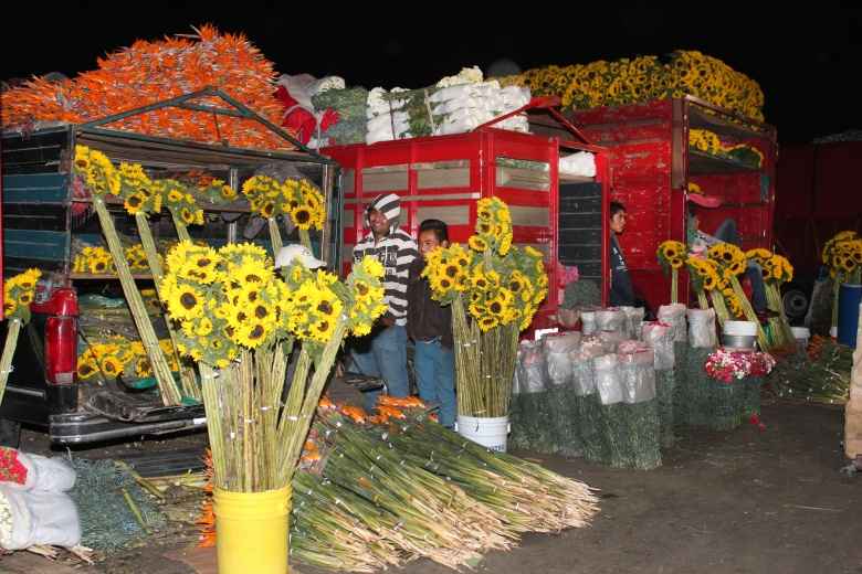 Celebra Mercado de flores y hortalizas de la Central de Abastos de la CDMX 39 años de historia, trabajo y tradición