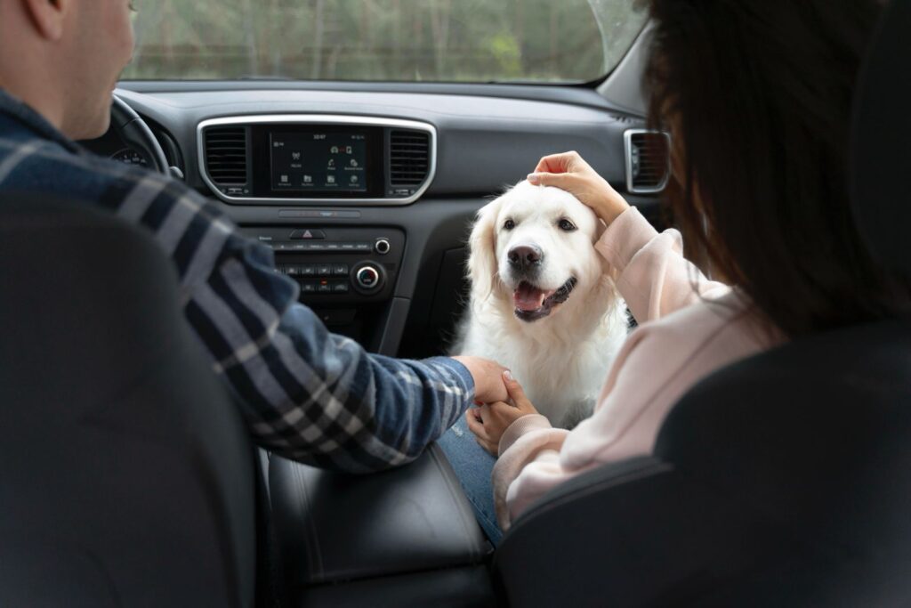 Exigen certificado de inspección para perros y aves importados de EU que garantice que están libres del gusano barrenador / Por Alicia Valverde