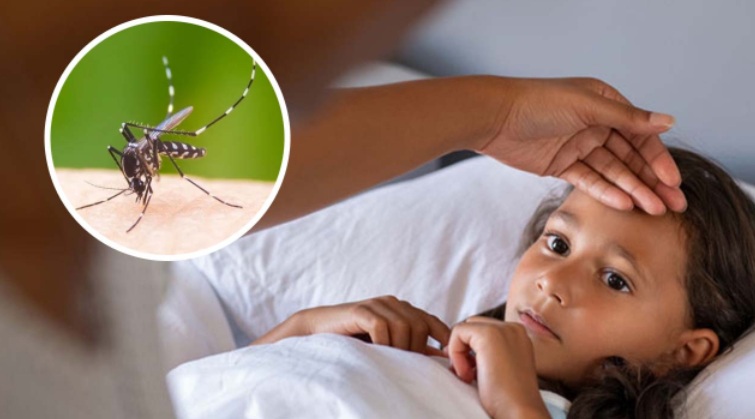 Reduce Jalisco en 90 % los casos de dengue y destaca la tasa de mortalidad materna más baja a nivel nacional