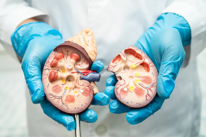 La insuficiencia renal es una enfermedad catastrófica en México