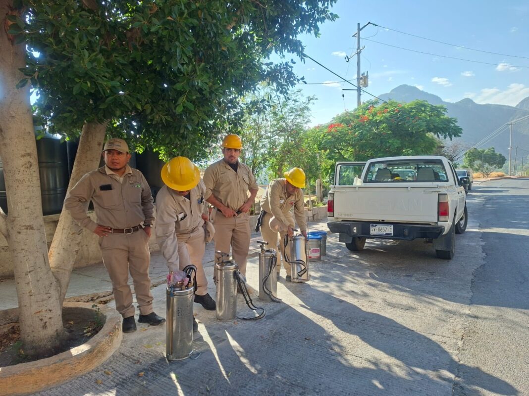 Redoblan en Querétaro esfuerzos contra el dengue