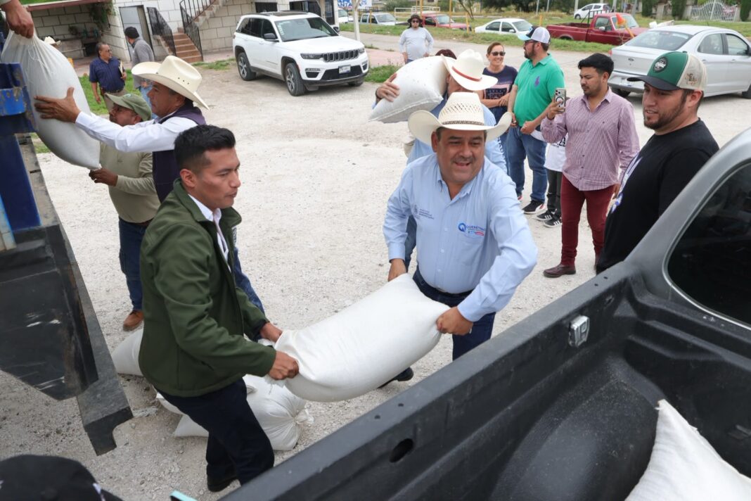 Entregan en Querétaro semilla forrajera en municipios del semidesierto