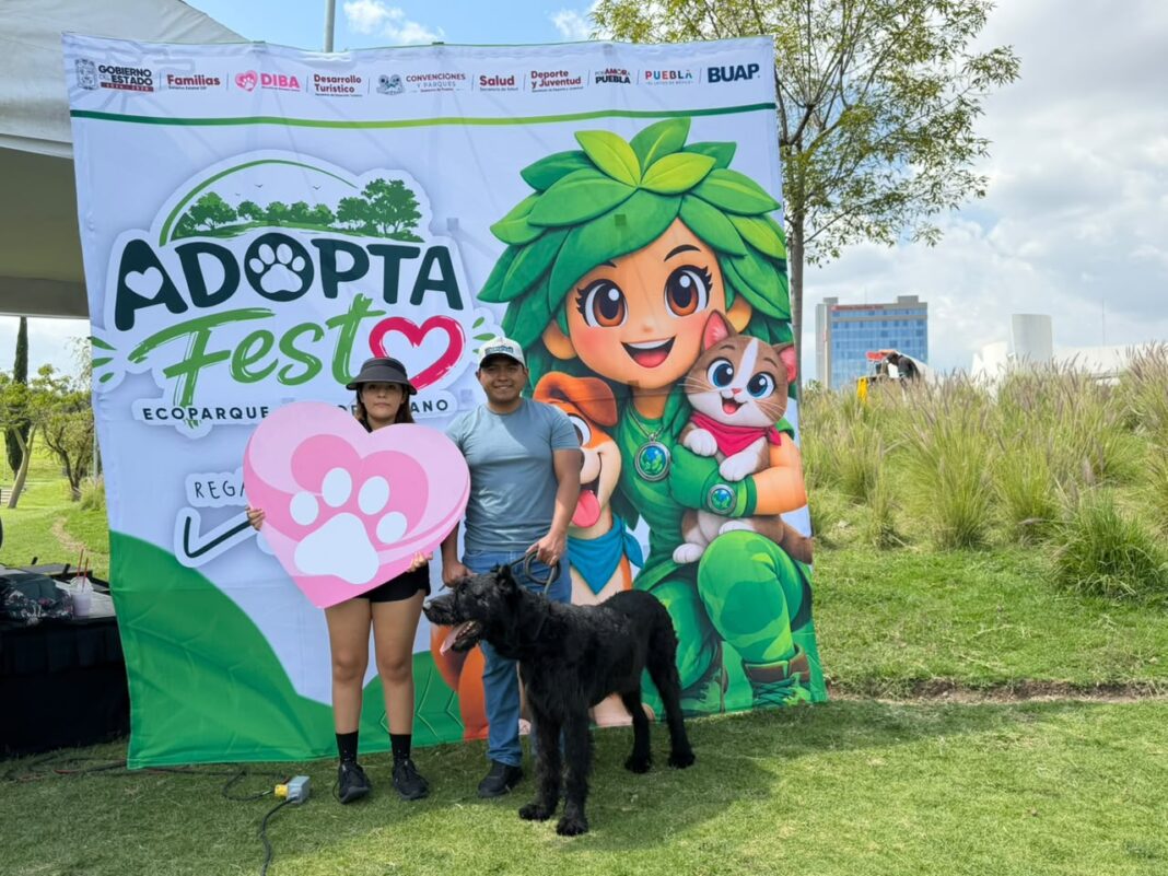 Puebla fortalece atención y protección de seres sintientes en Adopta Fest