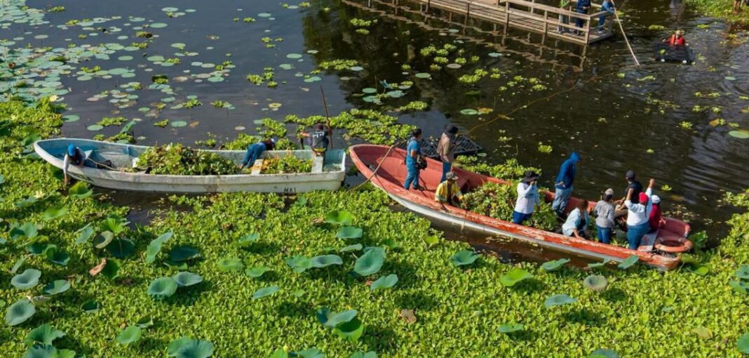 Inician jornadas de limpieza en la Laguna de San Julián, Veracruz