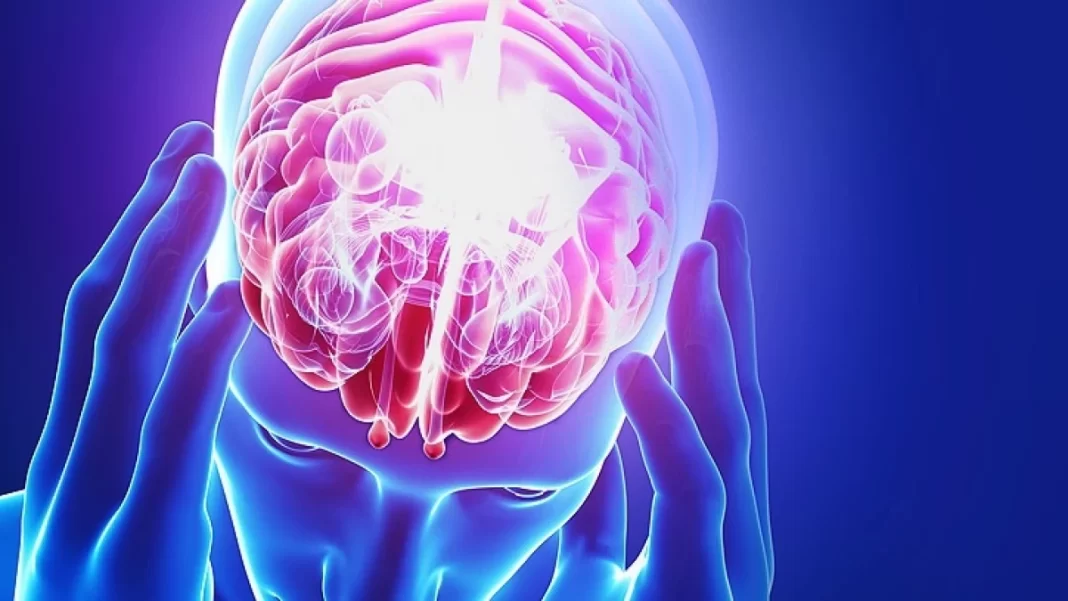 El cerebro humano viene ‘preconfigurado’ con instrucciones para comprender
