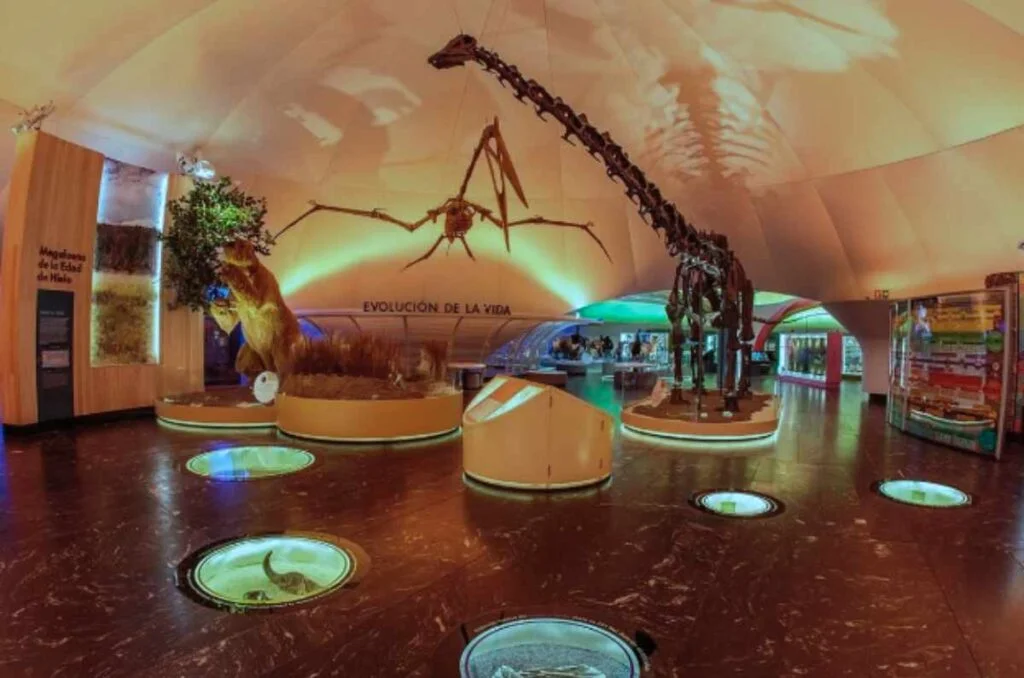 Descubre la ciencia, la naturaleza y la imaginación en el Museo de Historia Natural y Cultura Ambiental de la CDMX