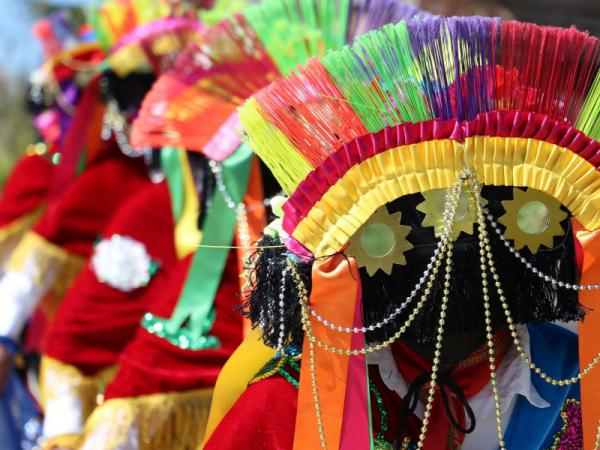 Puebla participa en el XXIX Festival de la Huasteca Veracruzana