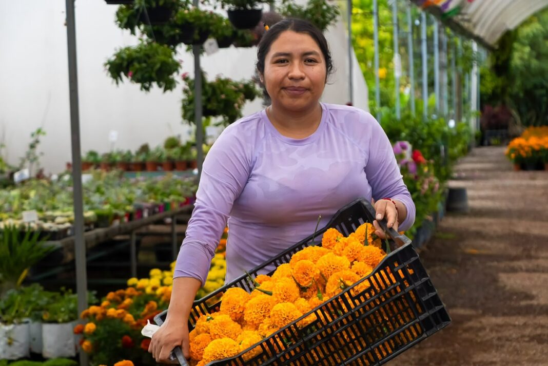 Productores atlixquenses reconocen estrategia estatal para impulsar al campo