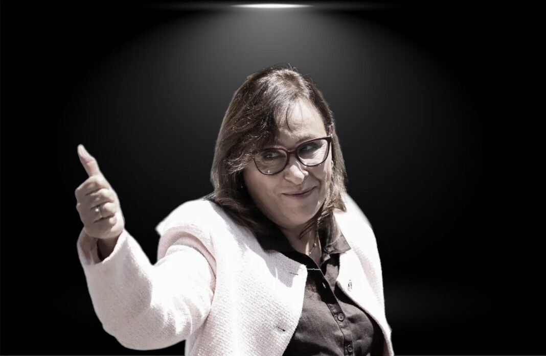 Sospechas familiares y la insensibilidad de Nahle con los veracruzanos / Por José Hermilo Amezcua Domínguez