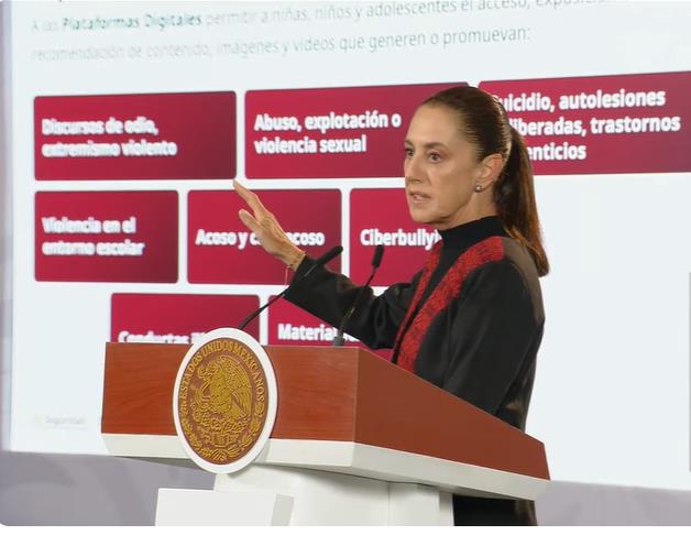 Este es el contenido del Decreto contra la violencia en plataformas digitales / Por Diana Domínguez Galván