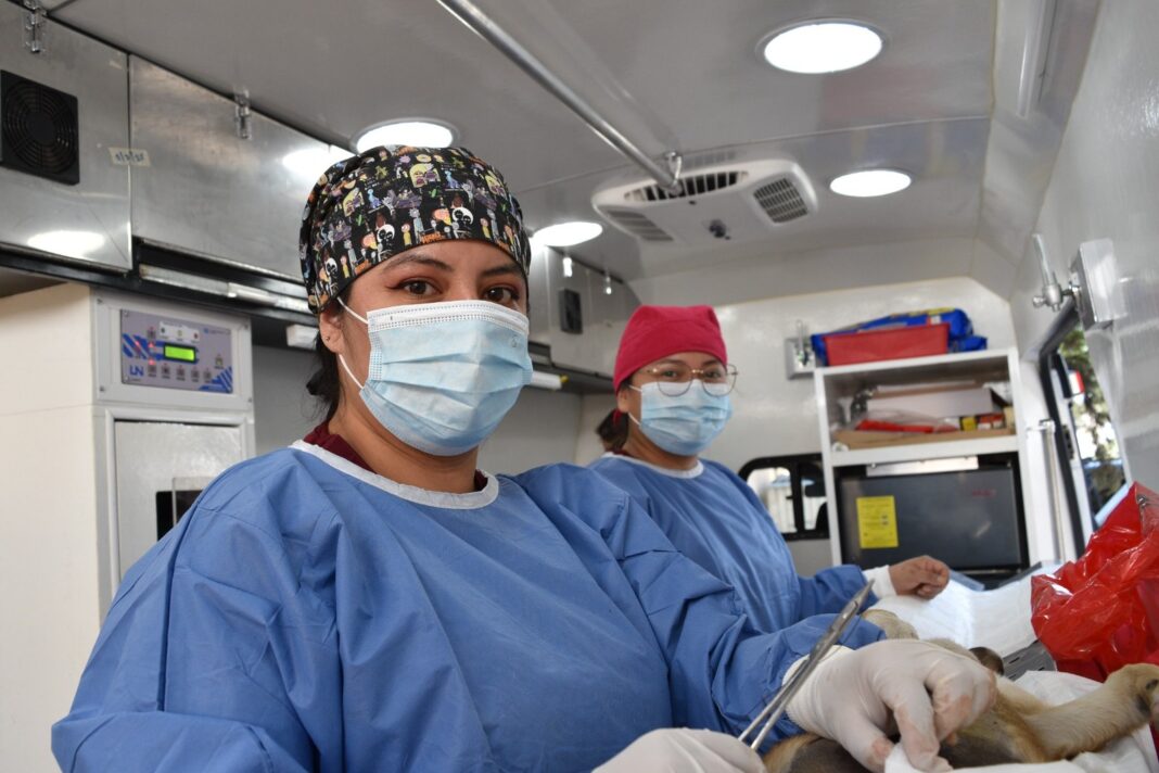 Realizan en Edomex más de 185 mil esterilizaciones gratuitas en el último año